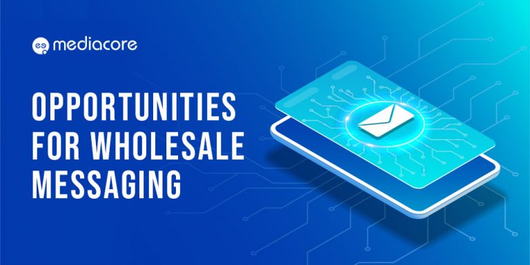 Wholesale messaging infographic