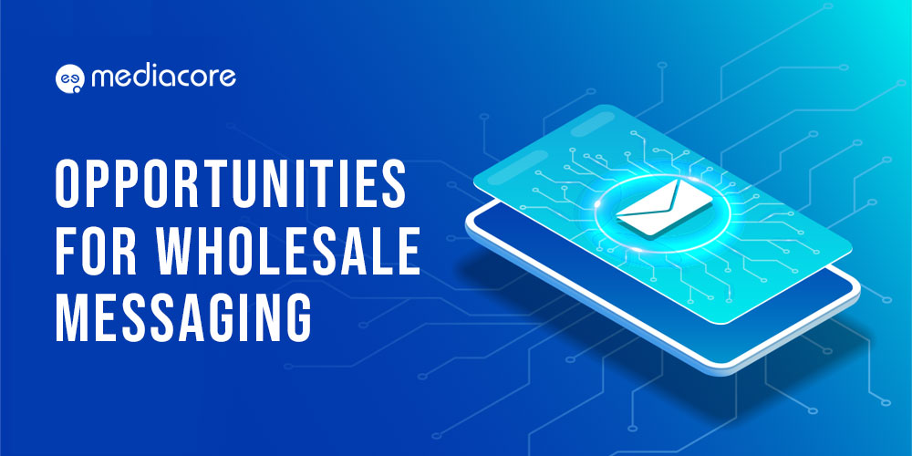 Wholesale messaging infographic