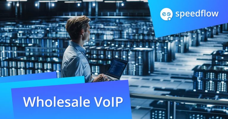 Wholesale VoIP Termination